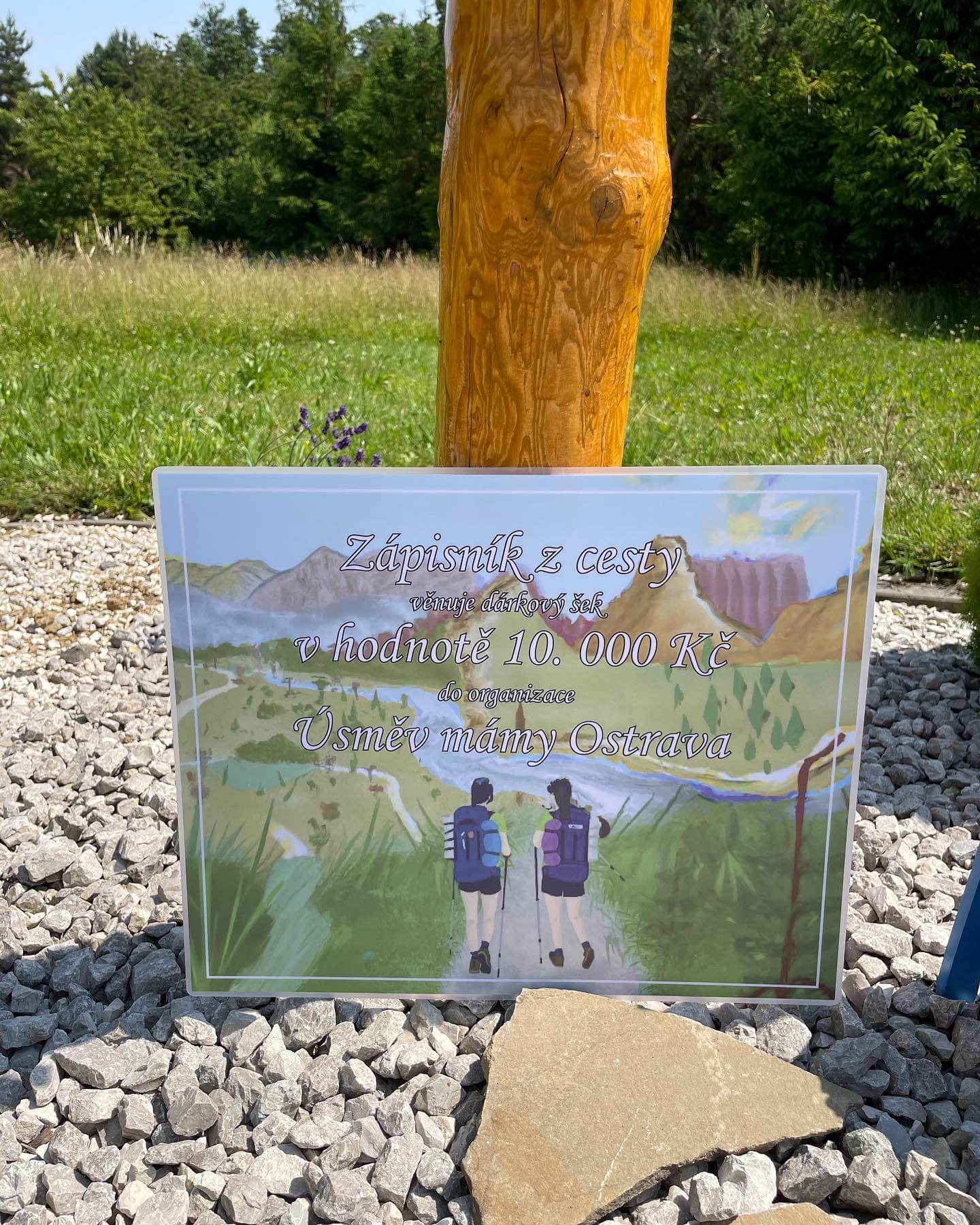 Obraz daru v trávě